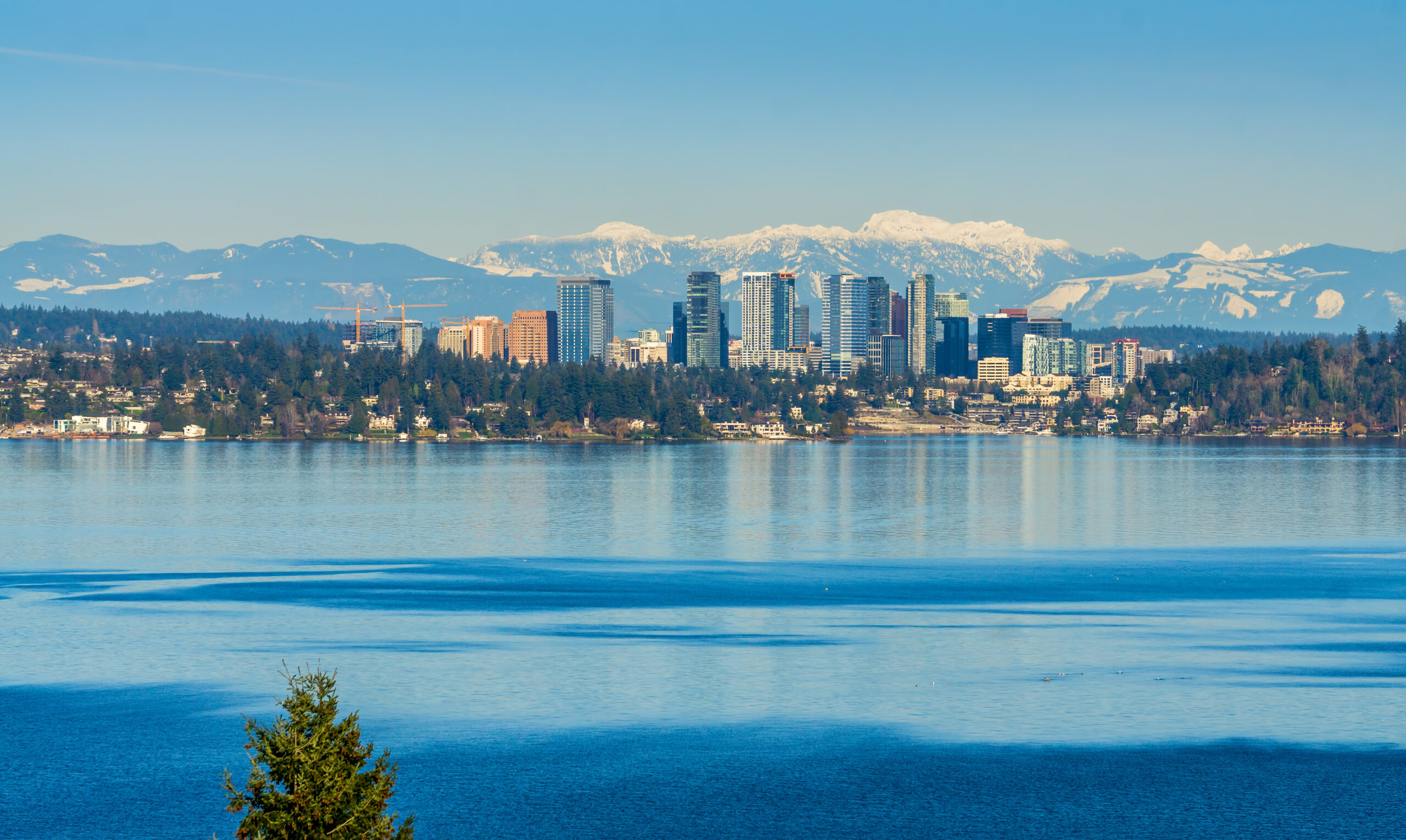 Professional Plumbing Services in Bellevue - Ben's Plumbing